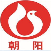 朝陽(yáng)泵業(yè)QZ軸流、QH混流潛水電泵