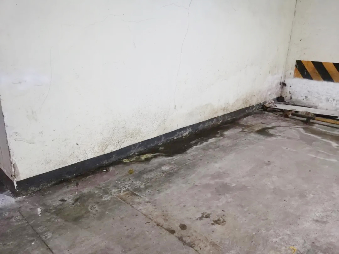 防水層泛白？別急著鏟！90%的人都不知道的真正原因在這里！